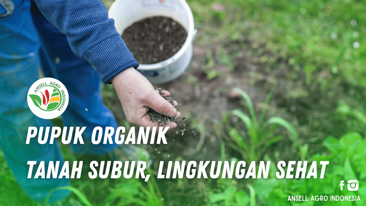 Pupuk Organik, Tanah Subuh, Lingkungan Sehat