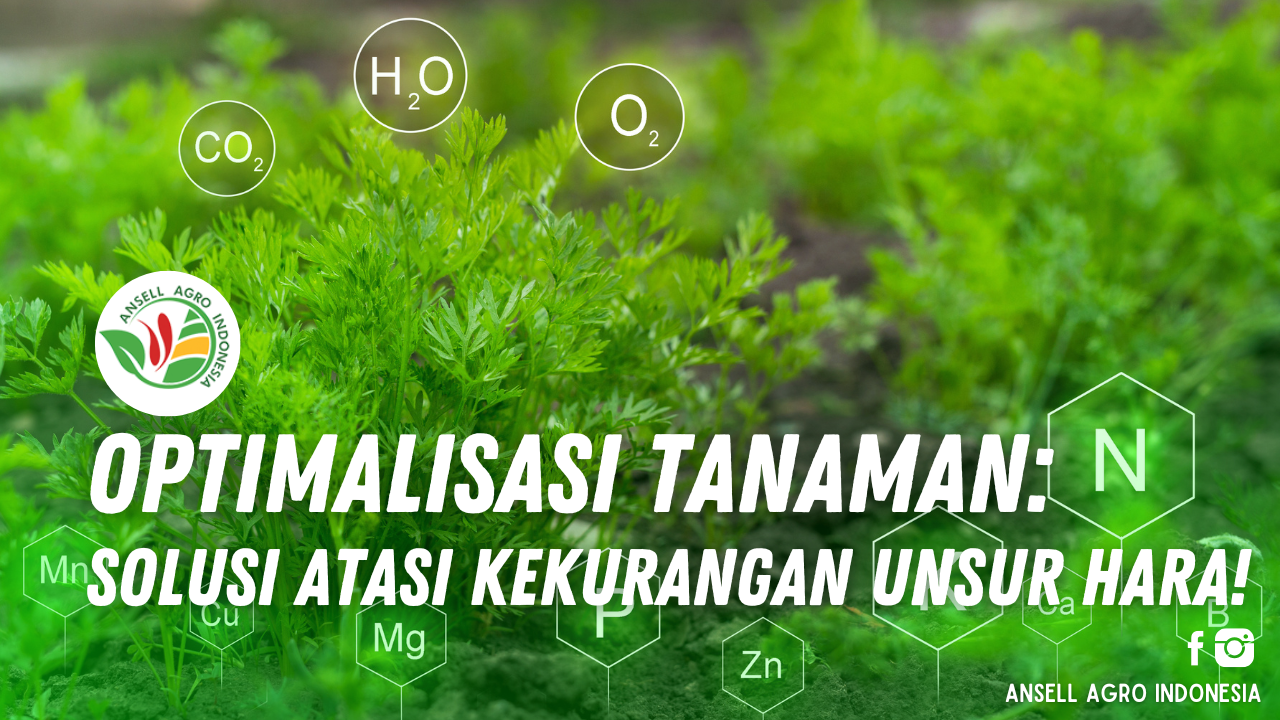 Optimalisasi Kekurangan Unsur Hara