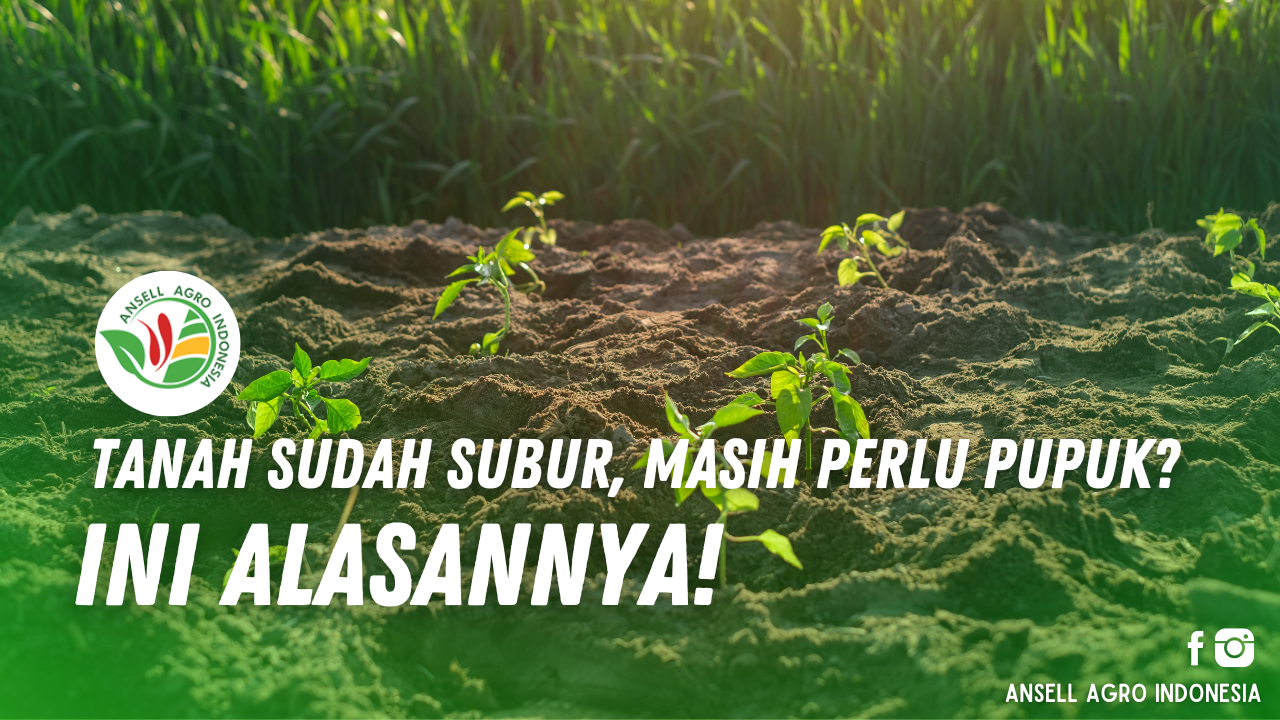 Tanah Sudah Subur, Masih Perlu Pupuk?