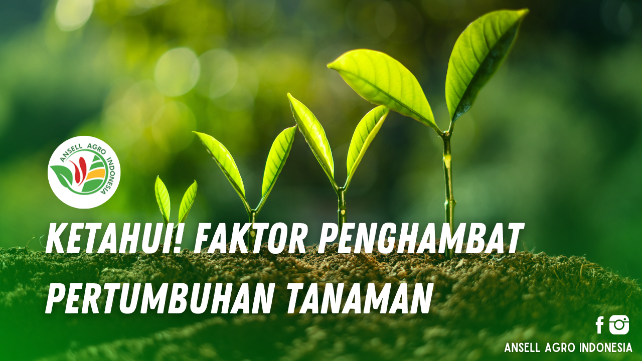 Faktor Penghambat Tanaman