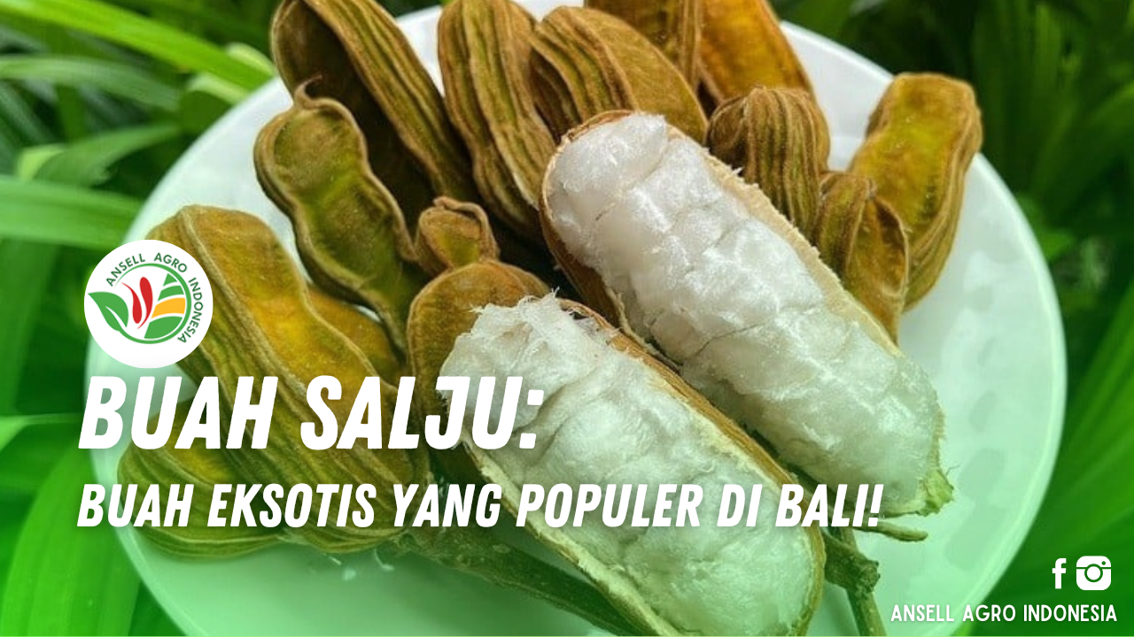 Buah Salju