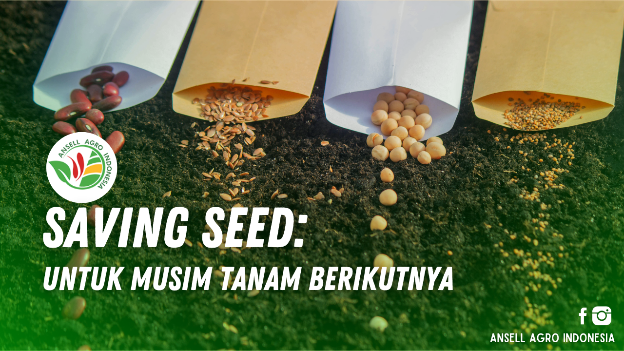 Saving Seed